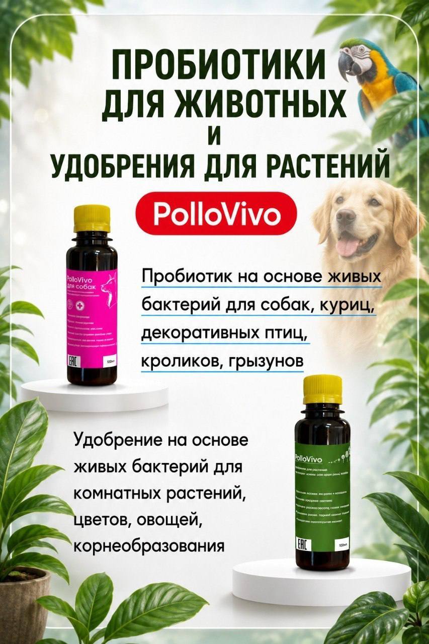 Товар: